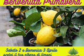 Benvenuta Primavera
