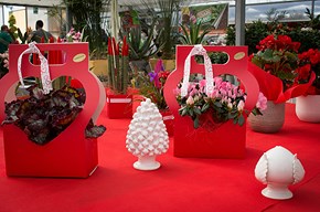 Festa della mamma
